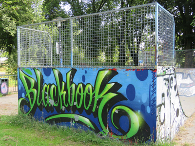 844174 Afbeelding van het graffitikunstwerk 'Blackbook' van Jan is de Man, op de skate-halfpipe in het Majoor ...
